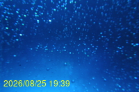 Img20260825_193930.jpg