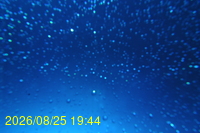 Img20260825_194430.jpg