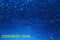 Img20260825_194930.jpg