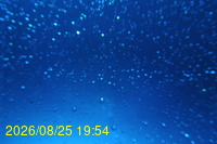 Img20260825_195430.jpg