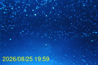 Img20260825_195930.jpg