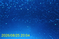 Img20260825_200430.jpg