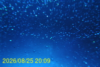 Img20260825_200930.jpg