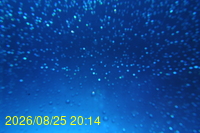 Img20260825_201430.jpg