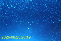 Img20260825_201930.jpg