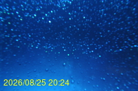 Img20260825_202430.jpg