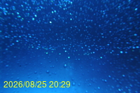 Img20260825_202930.jpg