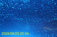Img20260825_203430.jpg