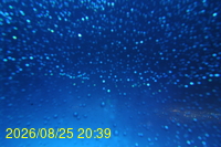 Img20260825_203930.jpg