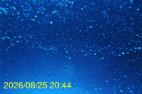 Img20260825_204430.jpg