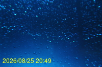 Img20260825_204930.jpg