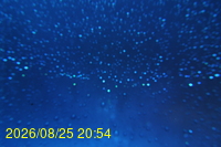 Img20260825_205430.jpg