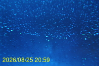 Img20260825_205930.jpg