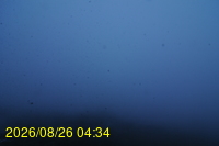 Img20260826_043431.jpg