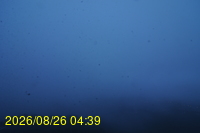 Img20260826_043931.jpg