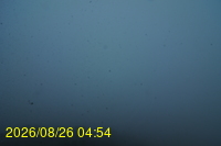 Img20260826_045432.jpg