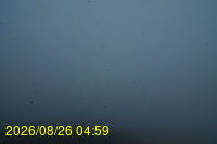 Img20260826_045931.jpg