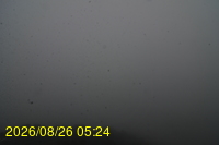 Img20260826_052432.jpg