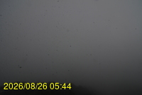 Img20260826_054432.jpg