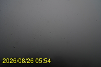 Img20260826_055432.jpg