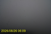 Img20260826_060932.jpg
