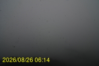 Img20260826_061432.jpg