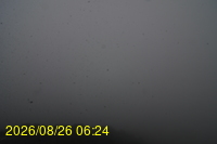 Img20260826_062432.jpg