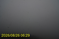 Img20260826_062932.jpg