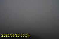 Img20260826_063432.jpg