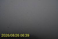 Img20260826_063932.jpg