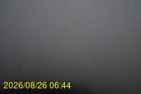 Img20260826_064432.jpg