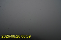 Img20260826_065932.jpg