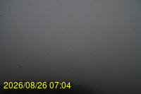 Img20260826_070432.jpg