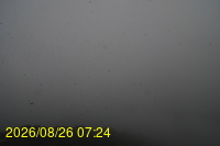Img20260826_072432.jpg