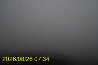 Img20260826_073432.jpg