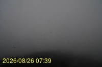 Img20260826_073932.jpg