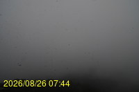 Img20260826_074432.jpg