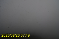 Img20260826_074932.jpg