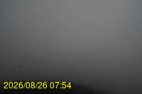 Img20260826_075432.jpg