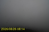 Img20260826_081432.jpg