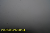 Img20260826_082432.jpg