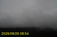 Img20260826_085432.jpg