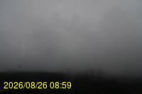 Img20260826_085932.jpg