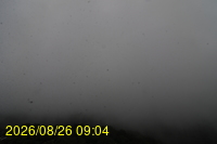 Img20260826_090432.jpg