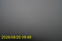 Img20260826_094932.jpg