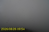 Img20260826_095432.jpg