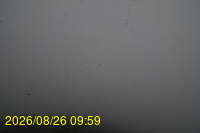 Img20260826_095932.jpg