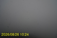 Img20260826_102433.jpg