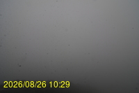 Img20260826_102933.jpg