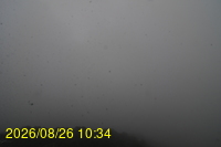 Img20260826_103433.jpg